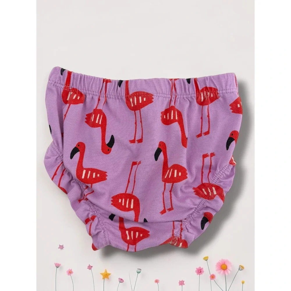 Hanna Andersson Flamingo Print Cotton Sleeveless Dress & Bloomer Set 2T
